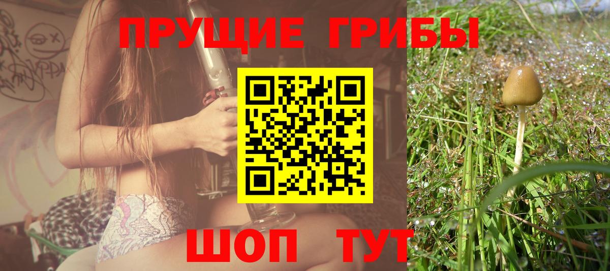 Галлюциногенные грибы Cubensis  Вход с VPN  где можно купить   Качканар 