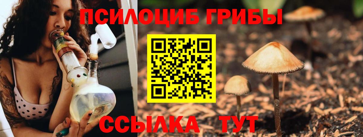 Псилоцибиновые грибы прущие грибы Качканар
